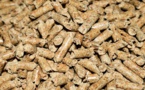 Face à la crise de l’énergie, le succès des granulés de bois en Corse