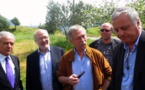 José Bové : « L’Europe doit traiter la Xylella comme la crise végétale majeure ! »