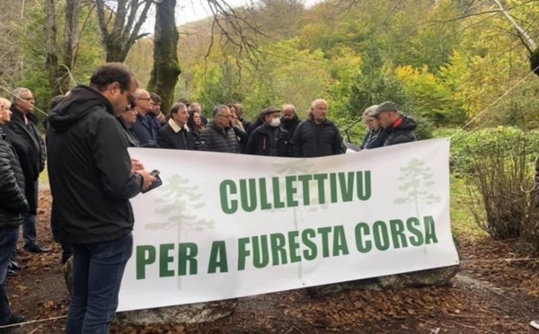Cullettivu per a furesta corsa : chjama per à aduprà u legnu corsu in li  prughtti municipali