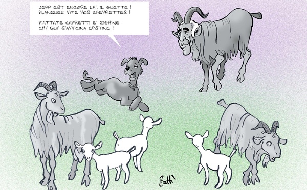 Le dessin de Battì : "planquez vite vos chevrettes" 