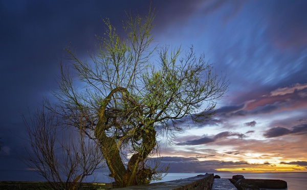 A màghjina - Sussuru di luce nantu à Porticciolu