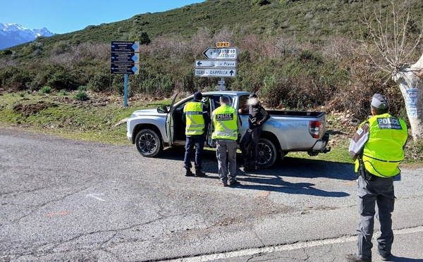 Braconnage, sécurité et respect des quotas de prélèvements : 7 journées de surveillance, 90 chasseurs et 1 829 véhicules contrôlés en Haute-Corse