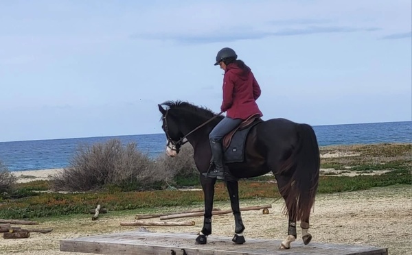Lozari - Concours équestre de Mountain Trail