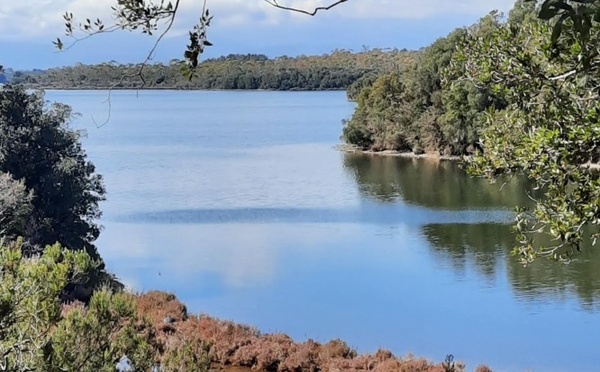 Étang de Diana : la pêche et la commercialisation des coquillages suspendues