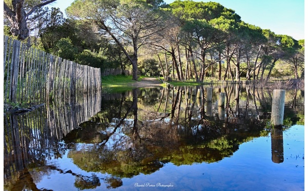 A màghjina - Palumbaghja : quandu i chjassi si facenu spechju