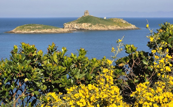 A màghjina - E Finuchjarole, gioiellu salvaticu di Capicorsu