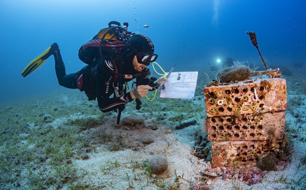 Starecorsica : une mission inédite pour prendre le pouls de la mer autour de la Corse