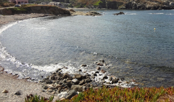 Grand nettoyage au Cap Corse : La PMCC mobilise bénévoles et communes le 23 avril à Centuri