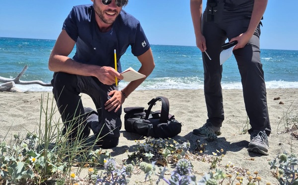 Farinole : 3e édition des « 24h Naturalistes en Corse »