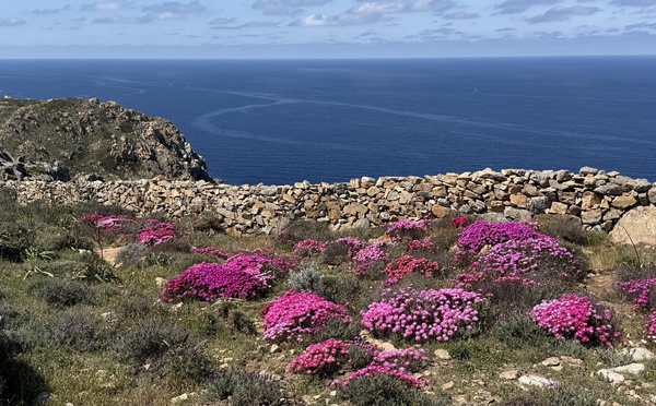 A màghjina - U veranu di A Revellata