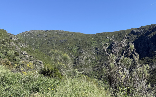 U tempu in Corsica