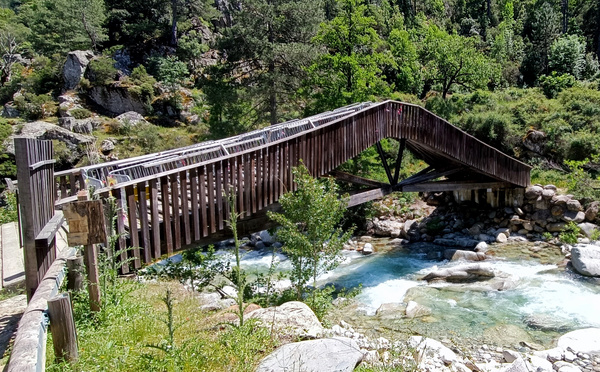 Corte - La passerelle de Chjarasgiolu, dans la Restonica, fermée au public