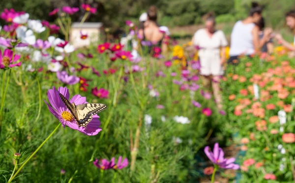 Bioblitz : la CAPA lance son premier inventaire participatif de la biodiversité
