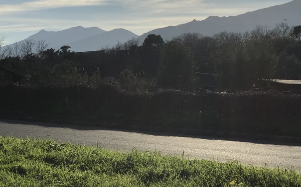 U tempu in Corsica