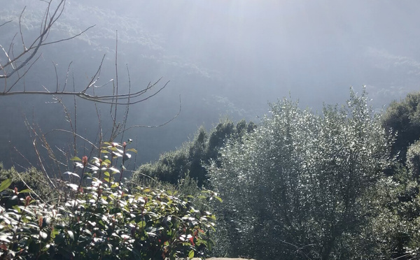 U tempu in Corsica