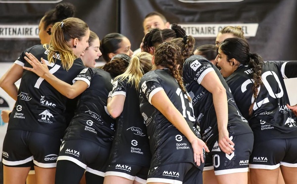 Handball. Stéphane Acquaviva, le Président du Handball Ajaccio Club fixe le cap vers la N1