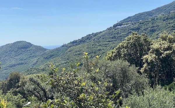 U tempu in Corsica