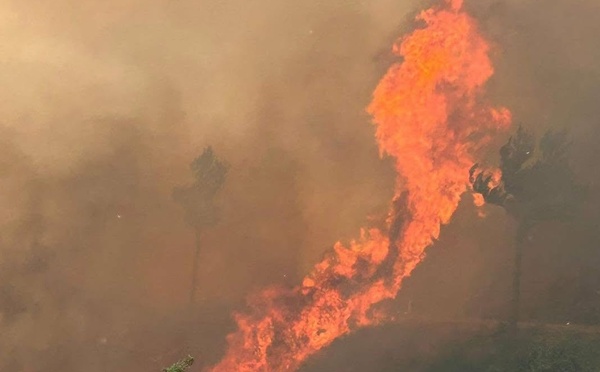 Castello-di-Rostino : 50 hectares parcourus par un incendie parti de travaux de débroussaillage