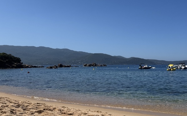 Où se baigner en Corse cet été ? Voici les plages et rivières à éviter