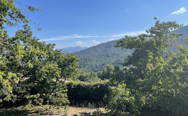 U tempu in Corsica