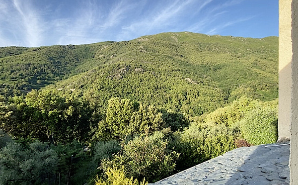U tempu in Corsica