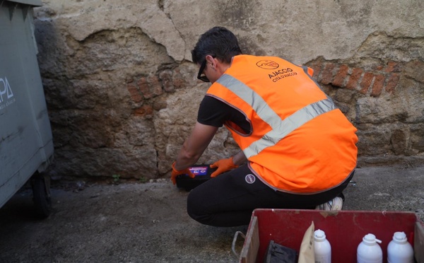 À Ajaccio, la lutte contre les rats s'intensifie face à une prolifération estivale