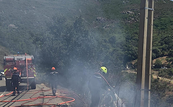 Haute-Corse : deux incendies se déclarent à Olmeta-di-Tuda et Biguglia