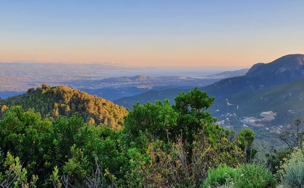 U tempu in Corsica