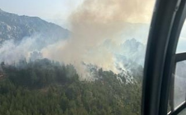 Incendies en Haute-Corse : les foyers d'Albertacce et de Corte sont loin d'être maîtrisés