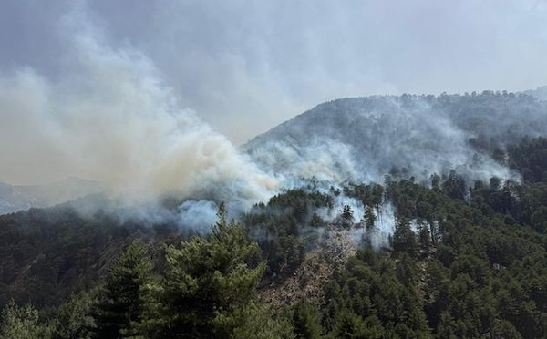Incendies : la lutte se poursuit à Albertacce et Corte-Restonica
