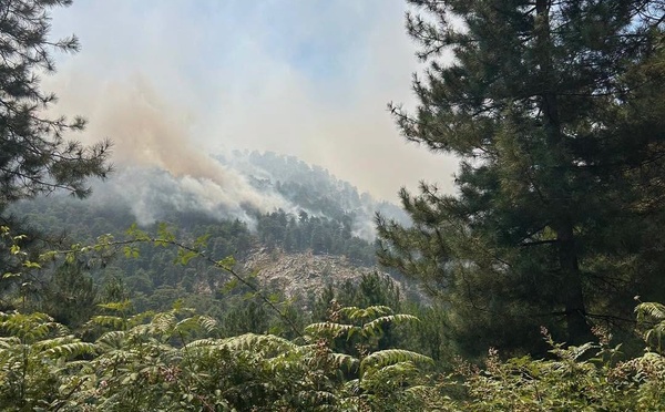 Incendies en Haute-Corse : un important dispositif maintenu et renforcé ce samedi