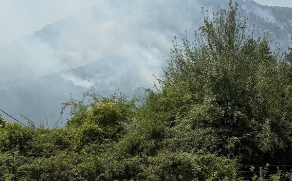 Incendies en Haute-Corse : 480 hectares parcourus, sentiers de randonnée fermés, pompier blessé