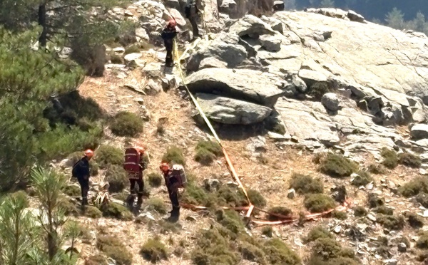 Incendies en Haute-Corse : plus de 530 hectares parcourus, les secours toujours mobilisés