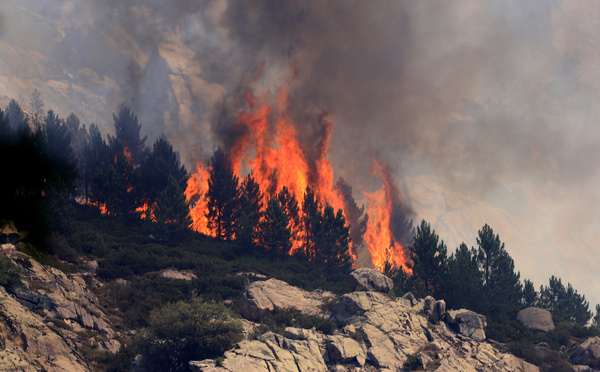 EN IMAGES - L'Incendie dans la Restonica progresse en direction des Grutelle