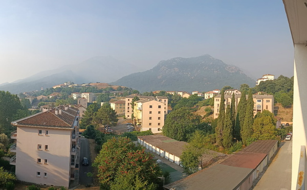 Incendies en Haute-Corse : près de 500 hectares parcourus par les flammes à Corte