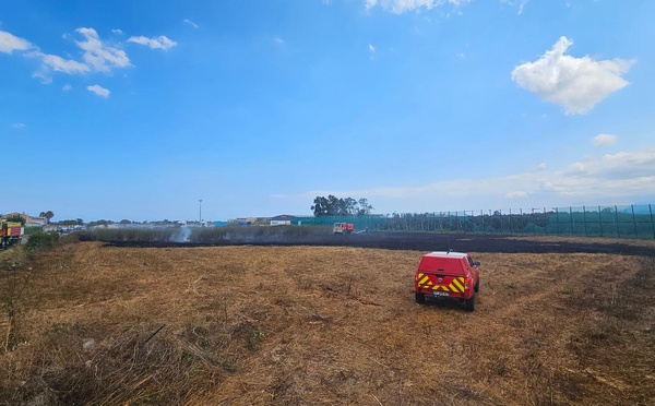Lucciana - Un incendie parcourt 5 000 m2 près de l'aéroport