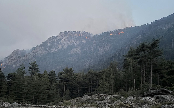 Restonica : le feu a parcouru 900 hectares