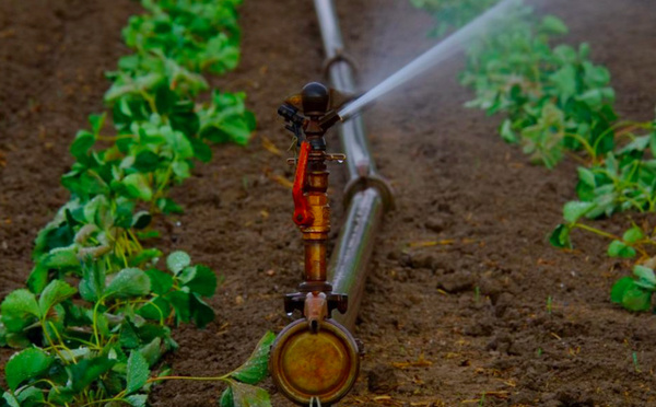 Sécheresse :  De nouvelles restrictions des usages de l'eau entre en vigueur en Haute-Corse