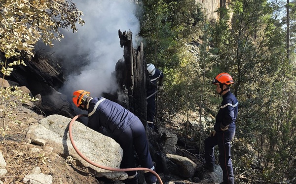 Incendie de Corte : le feu fixé après 18 jours, la vallée de la Restonica rouvre