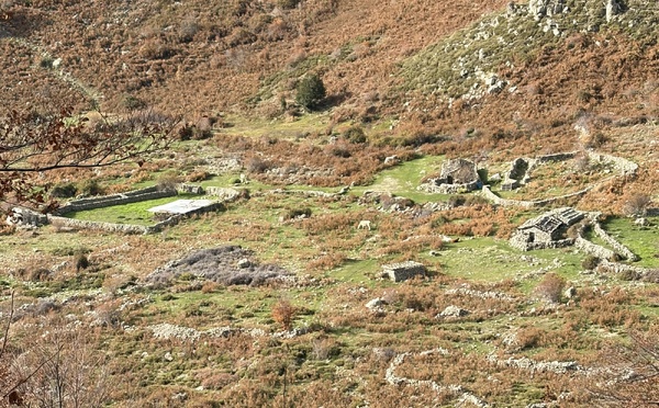 A màghjina - Induve campa a memoria di i pastori
