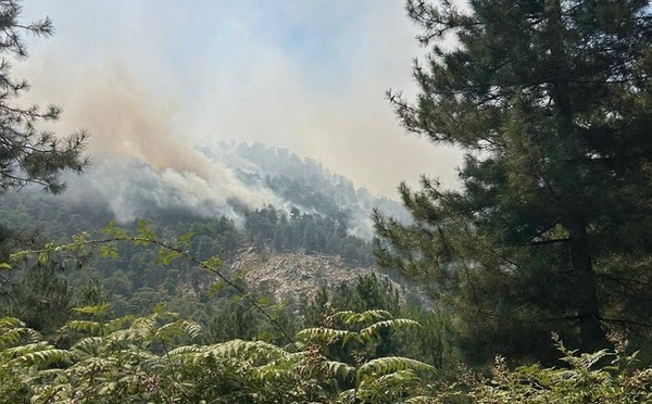 La foudre provoque de nouveaux départs de feu en Haute-Corse