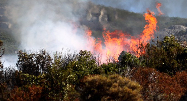 Deux incendies mobilisent les pompiers à Erbajolo et Zilia