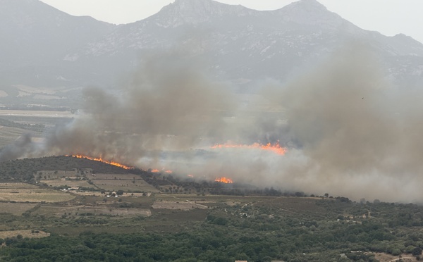 Haute-Corse : un incendie attisé par le vent menace des habitations à Calenzana