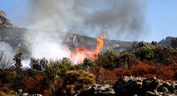 Cagnanu : un incendie parcourt 10 à 15 hectares de maquis