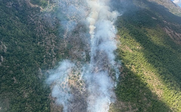 Venaco : Un incendie de végétation en cours au-dessus du village