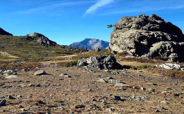 U tempu in Corsica