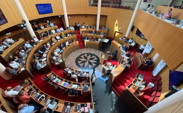 Face à la crise, Avanzemu réclame une nouvelle conférence sociale