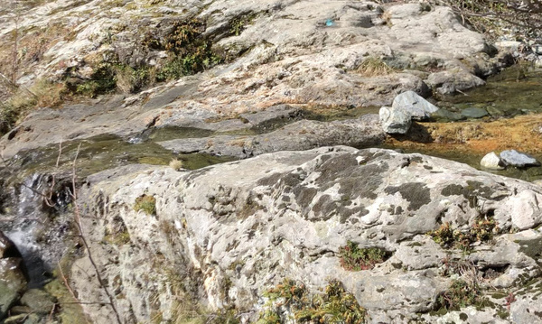 Sécheresse en Haute-Corse : les dernières pluies insuffisantes pour reconstituer les réserves d’eau