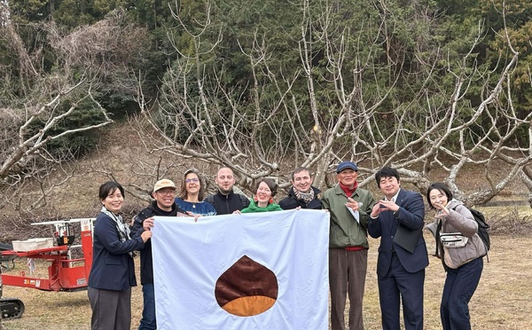 Châtaigne corse et japonaise, des liens qui se renforcent