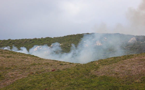 Meria – Un incendie parcourt jusqu'à 30 hectares